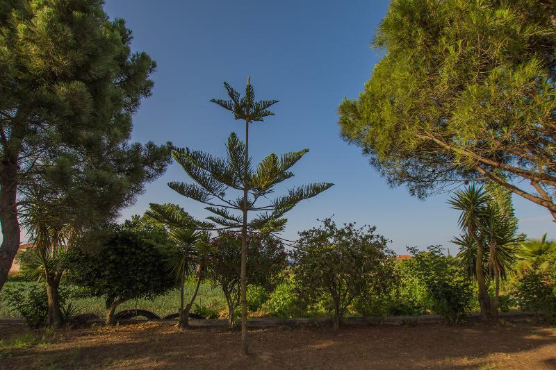 Porto Giardino Apartments Psarou  Eksteriør bilde