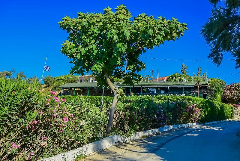 Porto Giardino Apartments Psarou  Eksteriør bilde